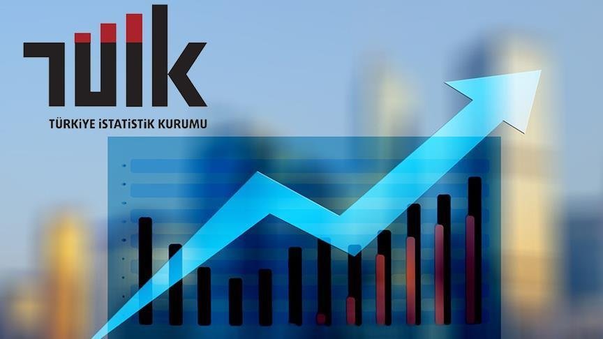 TÜİQ: 2022-ci ildə oxuma, yazma səviyyəsi 97,6 olub