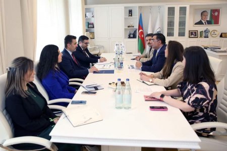 BANM-də “BDO Azərbaycan”ın rəhbəri ilə görüş keçirilib - FOTO