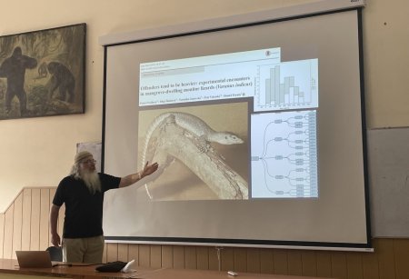 Çexiyanın Karlova Universitetinin professoru BDU-da elmi seminar keçib
