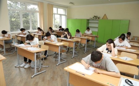 9 illik təhsil səviyyəsi üzrə imtahanların nəticələri AÇIQLANDI