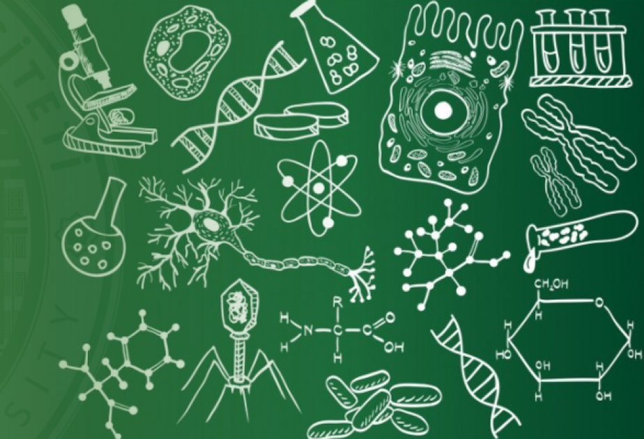 BDU-nun Biologiya fakültəsinə 6 ixtisas üzrə tələbə qəbulu aparılır