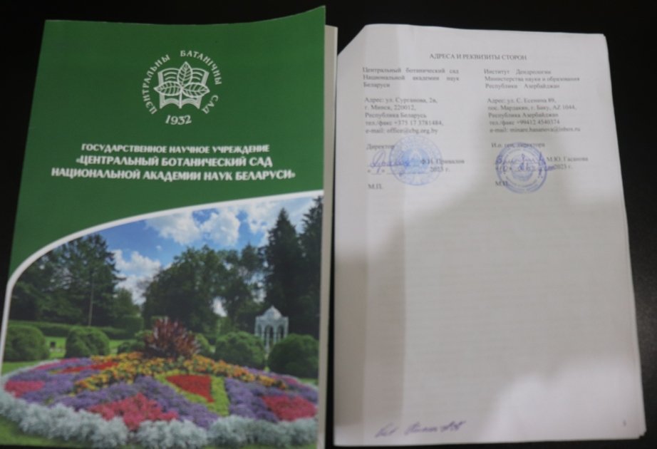 Dendrologiya İnstitutu Belarus Baş Botanika Bağı ilə əməkdaşlıq edəcək