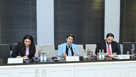Emin Əmrullayev Meksika Birləşmiş Ştatlarının ölkəmizdəki səfiri ilə görüşüb - FOTO