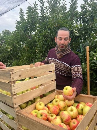 Peşə məktəblərinin tələbələri kənd təsərrüfatı istiqaməti üzrə Almaniyada təcrübələdədirlər - FOTO Peşə məktəblərinin tələbələri kənd təsərrüfatı istiqaməti üzrə Almaniyada təcrübələdədirlər - FOTO