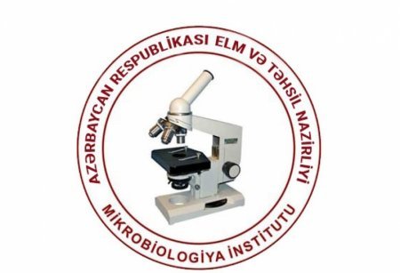 Mikrobiologiya İnstitutunun layihəsi qrant müsabiqəsinin qalibi olub