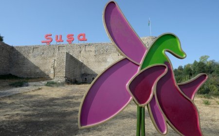 Şuşanın “İslam dünyasının mədəniyyət paytaxtı” elan edilməsi ilə bağlı tədbirlər planı hazırlanacaq - SƏRƏNCAM