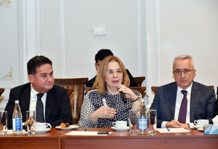 Kinematoqrafiya, rəqəmsal və digər audiovizual əsərlərin məzmununun qiymətləndirilməsi üzrə Ekspert şurası yaradılıb. Foto: