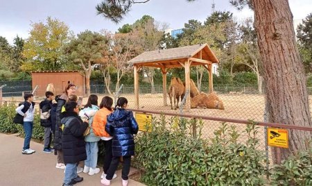 Bakı Zooloji Parkında dərs-ekskursiyalar keçirilir - FOTO Bakı Zooloji Parkında dərs-ekskursiyalar keçirilir - FOTO