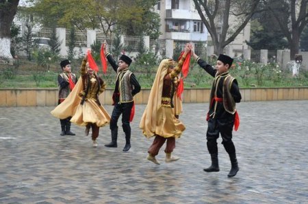 Humanitar Fənlər Təmayüllü liseydə ağacəkmə aksiyası keçirilib - FOTO