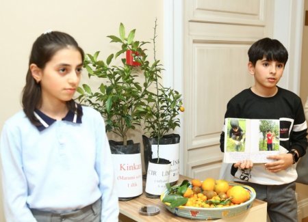Birinci “Yaşıl şəbəkə” festivalı təşkil olunub