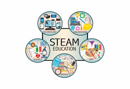 STEAM bizə lazımdırmı?