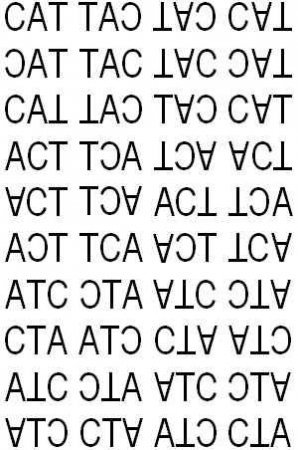 Disleksiya: Uşaqlarda oxuma və öyrənmə çətinliyi