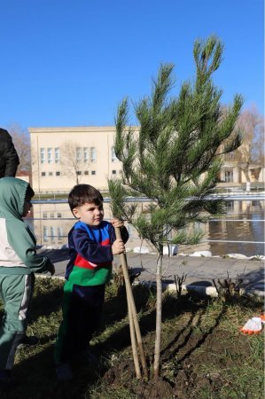 “Təhsildə həmrəylik” adlı qış düşərgəsi çərçivəsində “Xatirə bağı” salınıb - FOTO