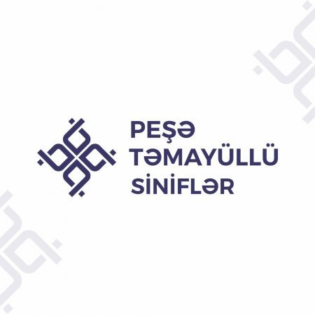 "Peşə təmayüllü sinif" layihəsində qanunsuzluqlar, saxtalarlıqlar...